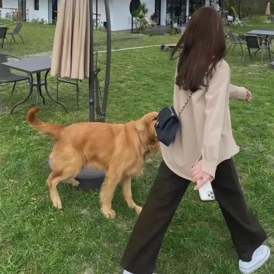 死亡直播